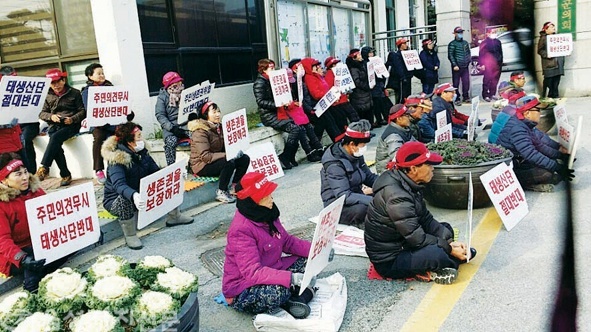 ▲ 성본일반산단 반대주민대책위 주민들이 '생존권을 보장하라' 등의 피켓을 들고 군청 앞에서 시위를 하고 있다. 