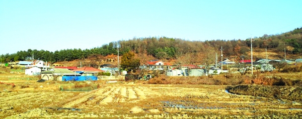하로1리 마을이 오성산 자락에 포근히 감싸여 있다