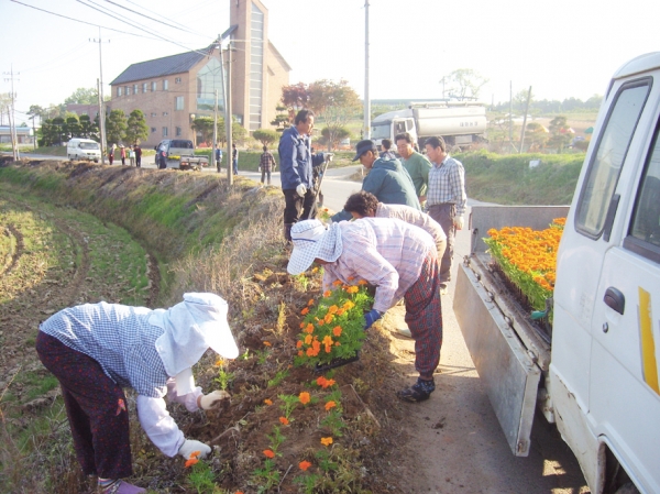 오류4리 주민들이 마을 꽃길을 가꾸고 있다.