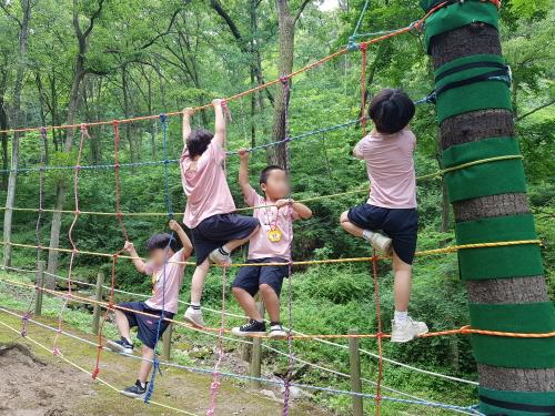 어린이들이 유아숲 프로그램에 참여하고 있다.